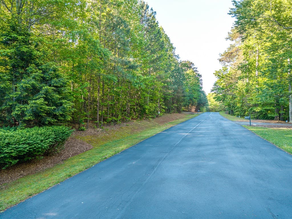 Lt 42 Harris Creek Drive, Ellijay GA 30540 - Photo