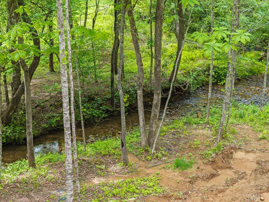 148 Brookwood Drive, Blue Ridge GA 30513 - Photo