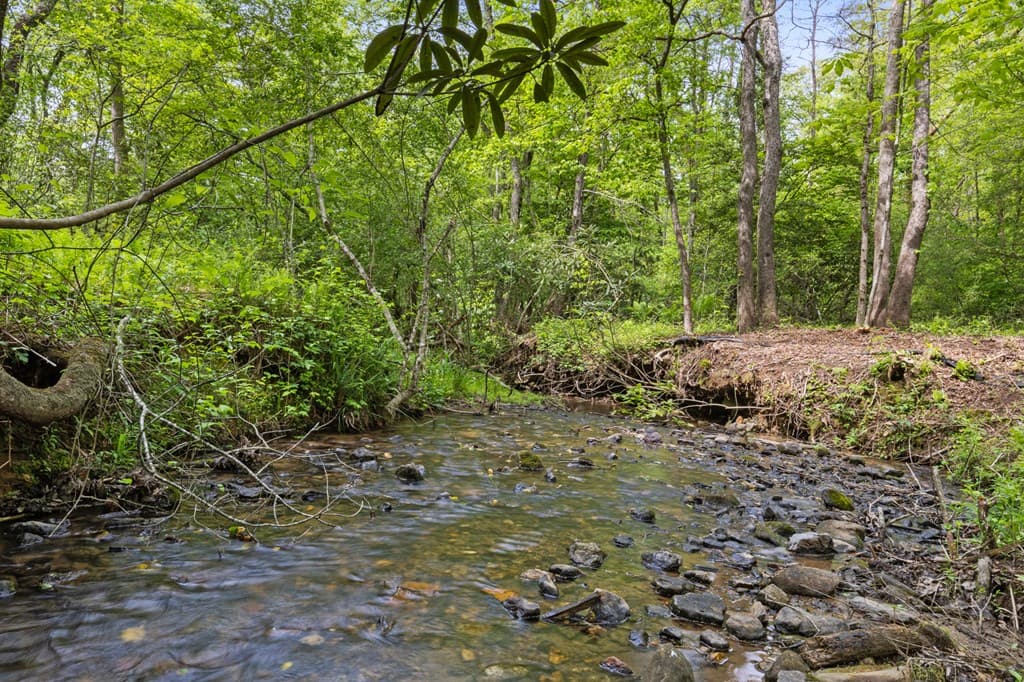 148 Brookwood Drive, Blue Ridge GA 30513 - Photo
