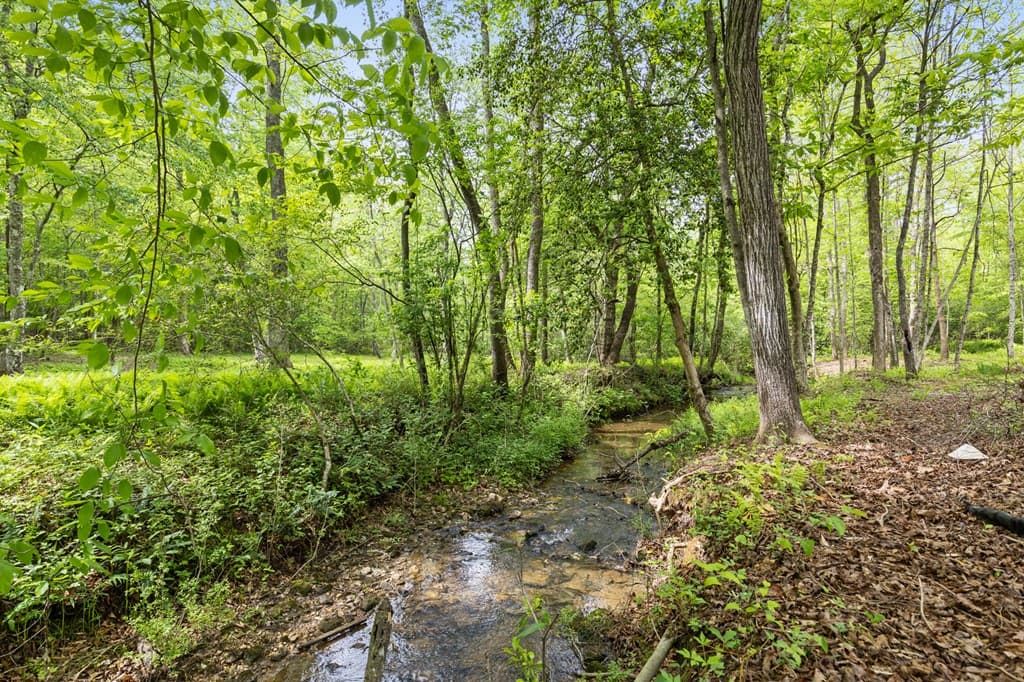 148 Brookwood Drive, Blue Ridge GA 30513 - Photo