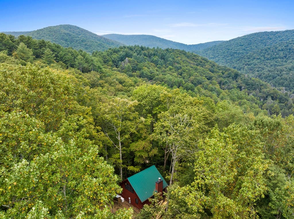 390 Butler Creek Road, Cherry Log GA 30522 - Photo