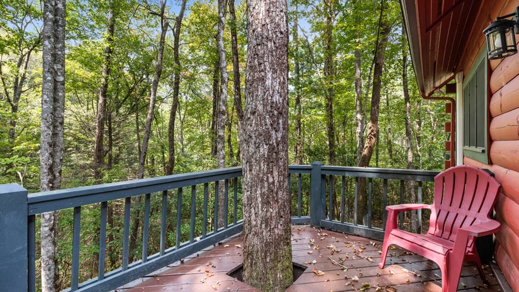 390 Butler Creek Road, Cherry Log GA 30522 - Photo