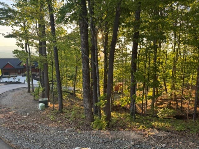 Lot 239 Kittatinny Drive, Mineral Bluff GA 30559 - Photo