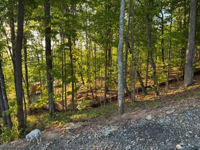 Lot 239 Kittatinny Drive, Mineral Bluff GA 30559 - Photo