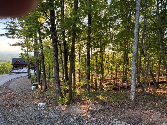 Lot 239 Kittatinny Drive, Mineral Bluff GA 30559 - Photo