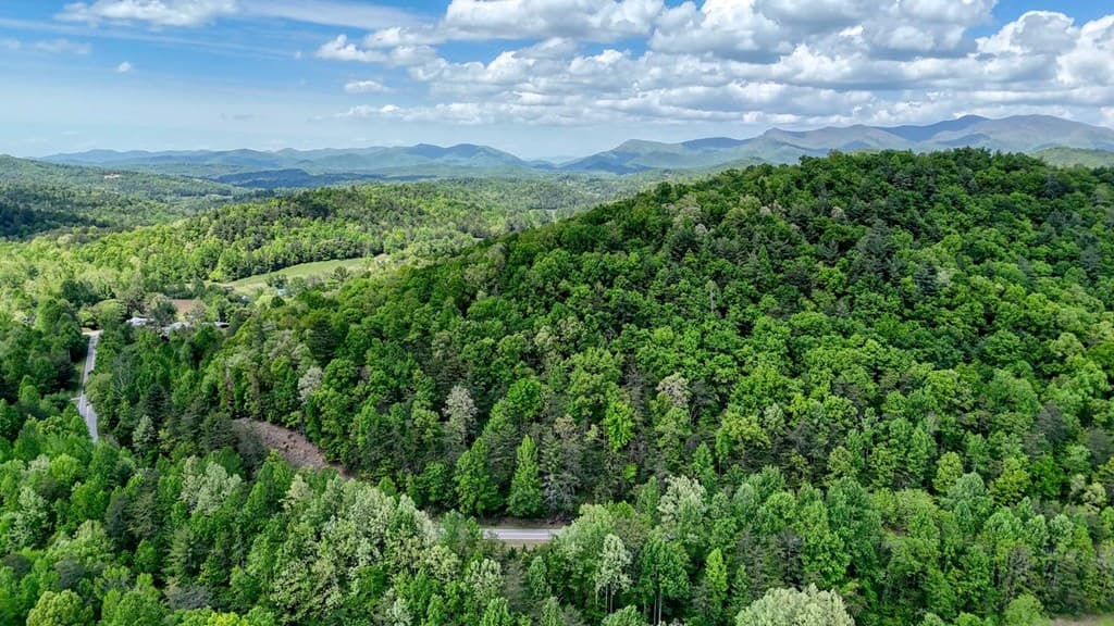 7.12 Russell Scenic Hwy, Blairsville GA 30512 - Photo