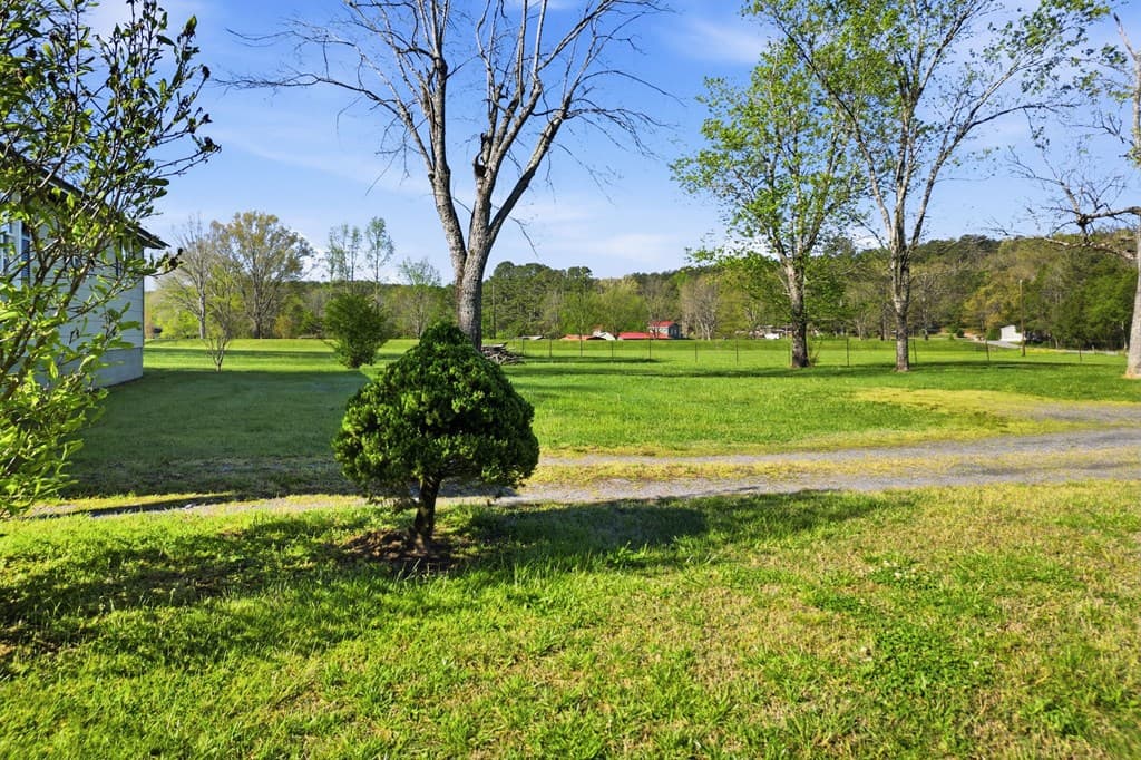 7946 NE Red Bud Road, Ranger GA 30734 - Photo