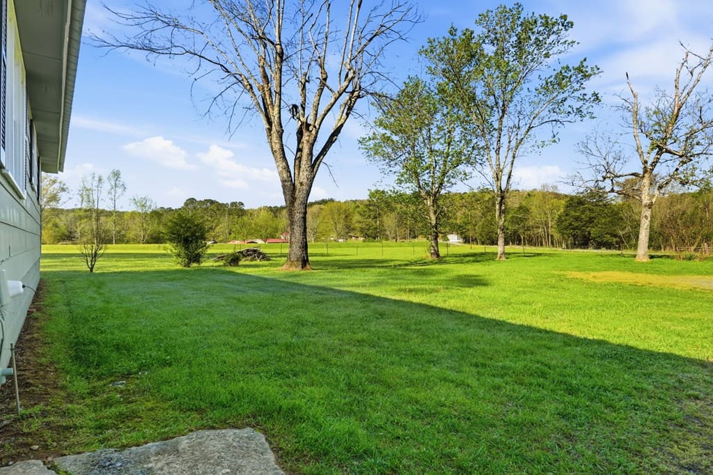 7946 NE Red Bud Road, Ranger GA 30734 - Photo