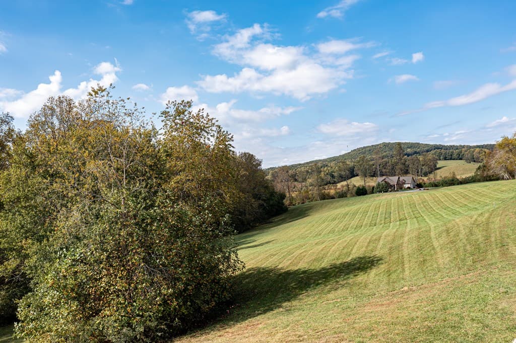 1250 Owen Glen Drive, Blairsville GA 30512 - Photo