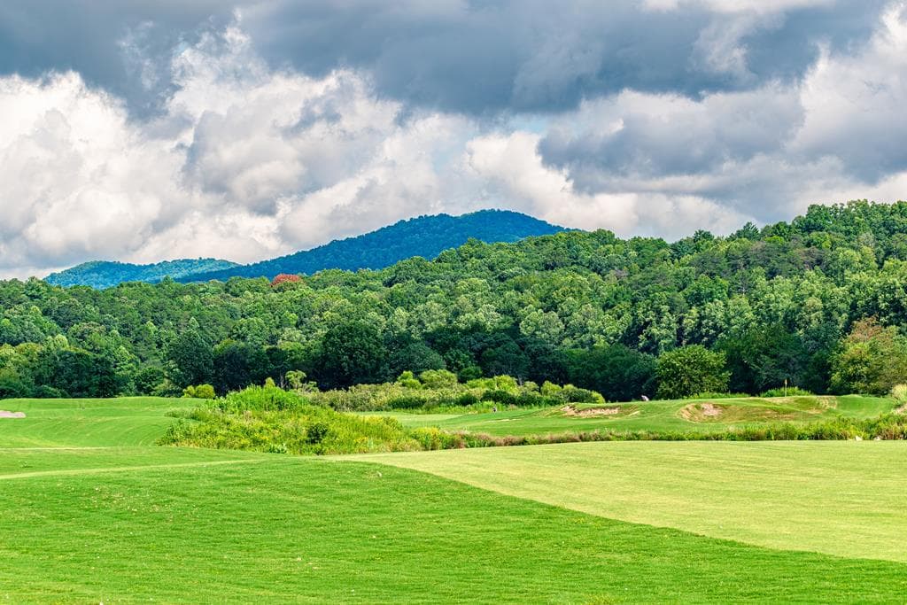 1250 Owen Glen Drive, Blairsville GA 30512 - Photo
