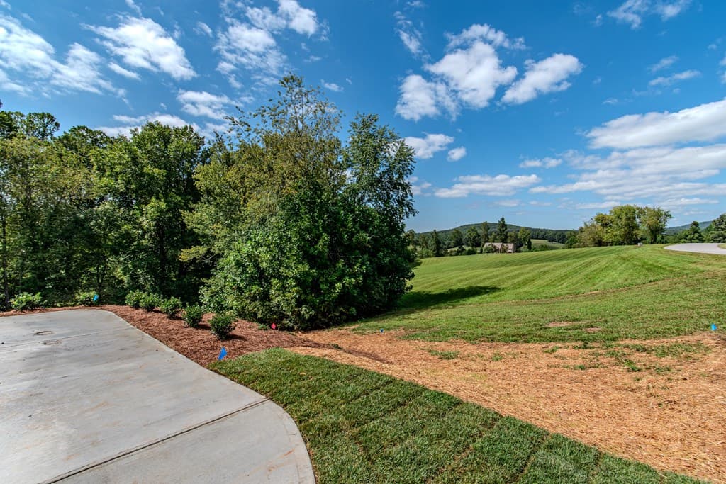 1250 Owen Glen Drive, Blairsville GA 30512 - Photo