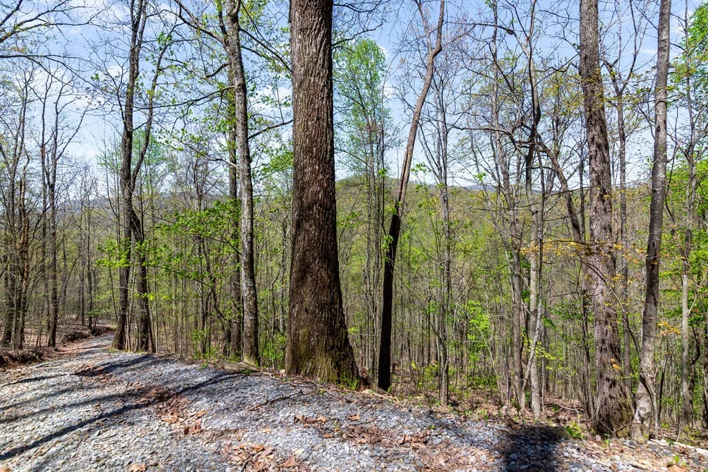 29 AC Hidden Valley Drive, Ellijay GA 30536 - Photo