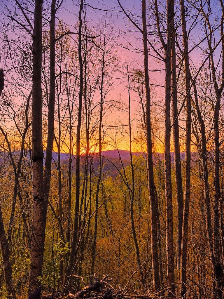 29 AC Hidden Valley Drive, Ellijay GA 30536 - Photo