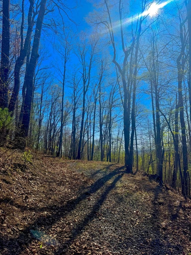 29 AC Hidden Valley Drive, Ellijay GA 30536 - Photo