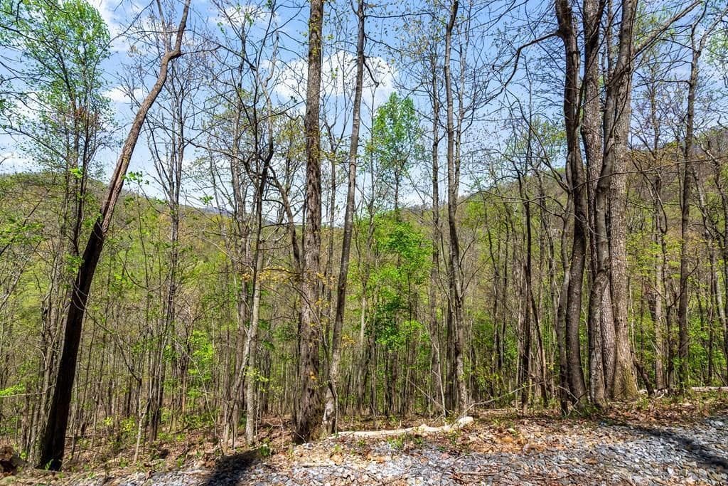 29 AC Hidden Valley Drive, Ellijay GA 30536 - Photo