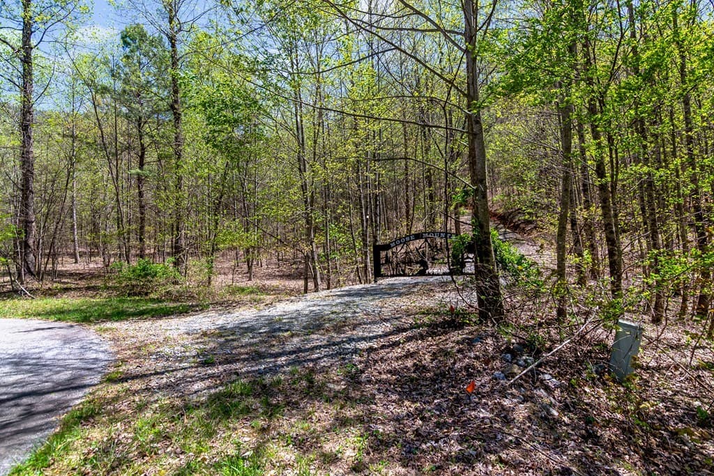 29 AC Hidden Valley Drive, Ellijay GA 30536 - Photo