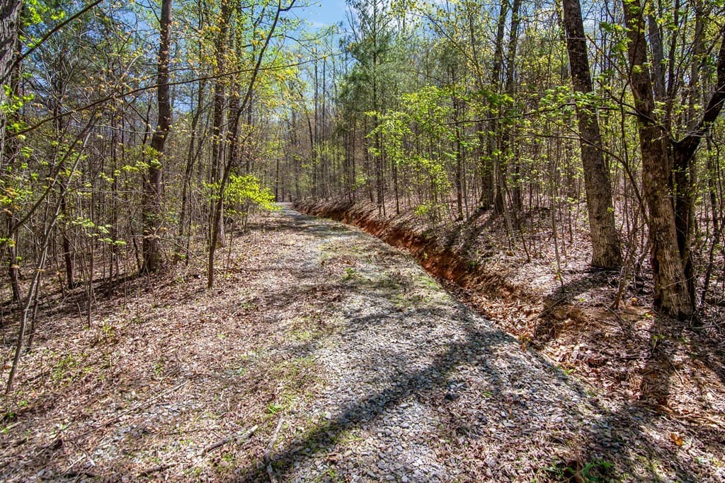 29 AC Hidden Valley Drive, Ellijay GA 30536 - Photo
