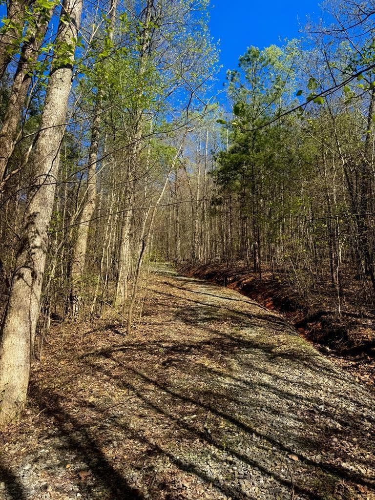 29 AC Hidden Valley Drive, Ellijay GA 30536 - Photo