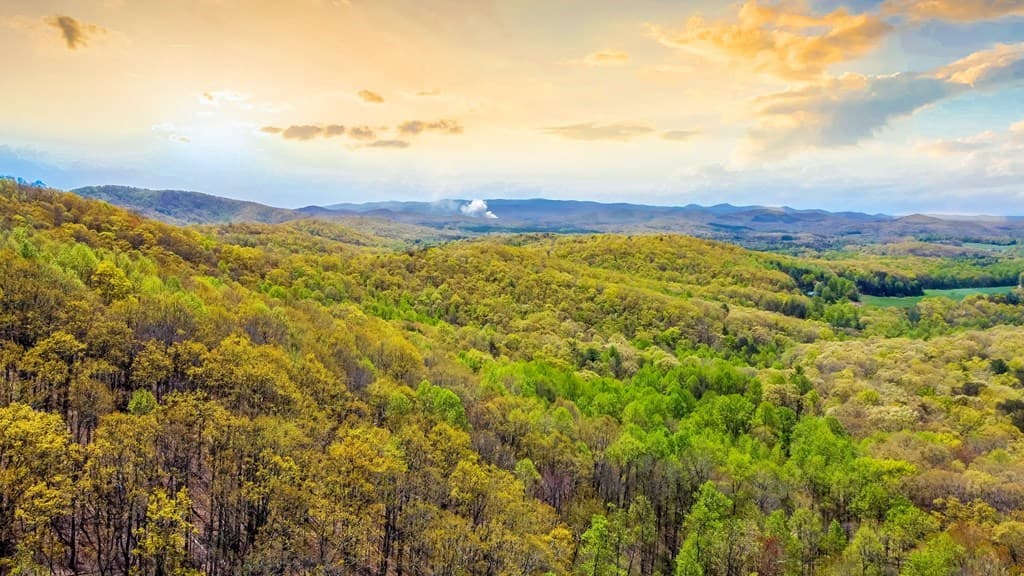 29 AC Hidden Valley Drive, Ellijay GA 30536 - Photo