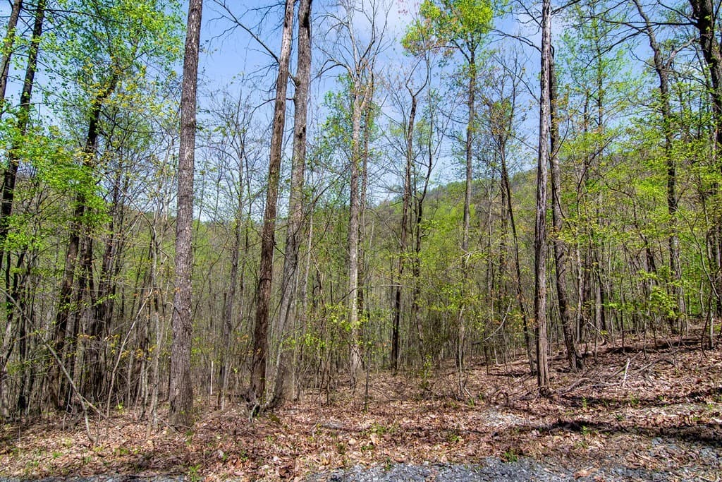 29 AC Hidden Valley Drive, Ellijay GA 30536 - Photo