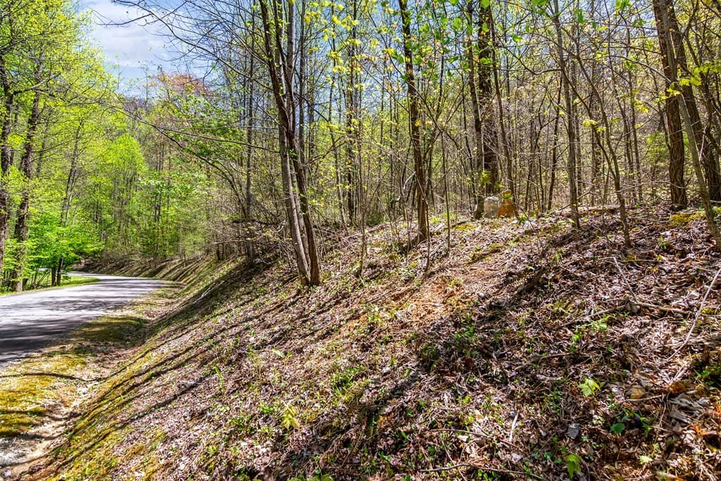 29 AC Hidden Valley Drive, Ellijay GA 30536 - Photo