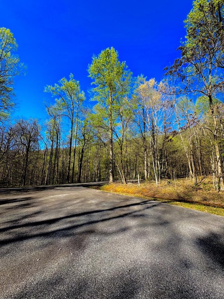 29 AC Hidden Valley Drive, Ellijay GA 30536 - Photo