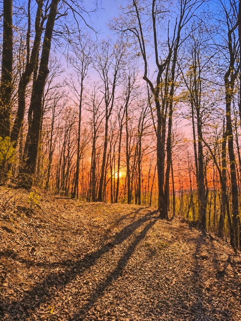 29 AC Hidden Valley Drive, Ellijay GA 30536 - Photo