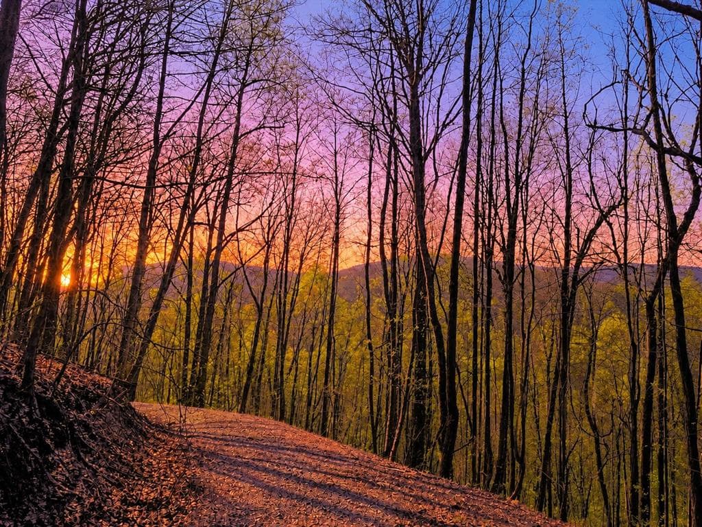 29 AC Hidden Valley Drive, Ellijay GA 30536 - Primary photo