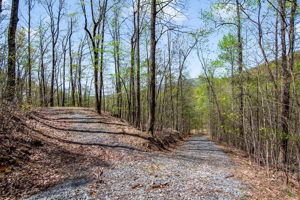 29 AC Hidden Valley Drive, Ellijay GA 30536 - Photo