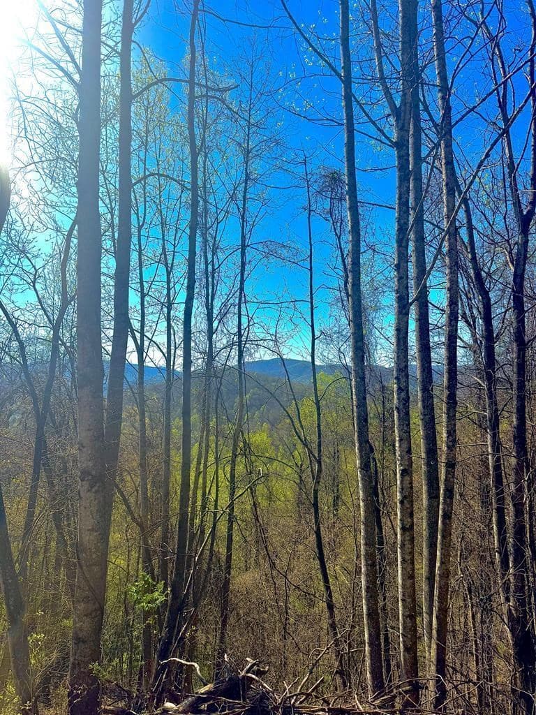 29 AC Hidden Valley Drive, Ellijay GA 30536 - Photo