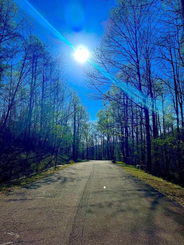 29 AC Hidden Valley Drive, Ellijay GA 30536 - Photo