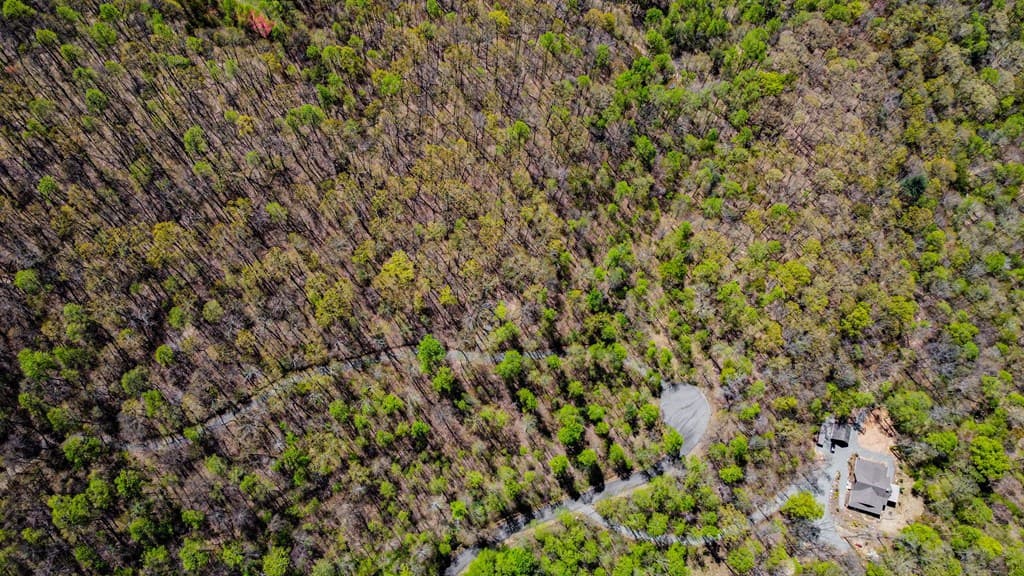 29 AC Hidden Valley Drive, Ellijay GA 30536 - Photo