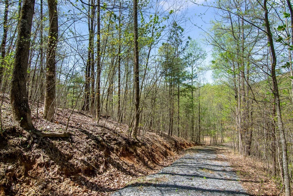 29 AC Hidden Valley Drive, Ellijay GA 30536 - Photo