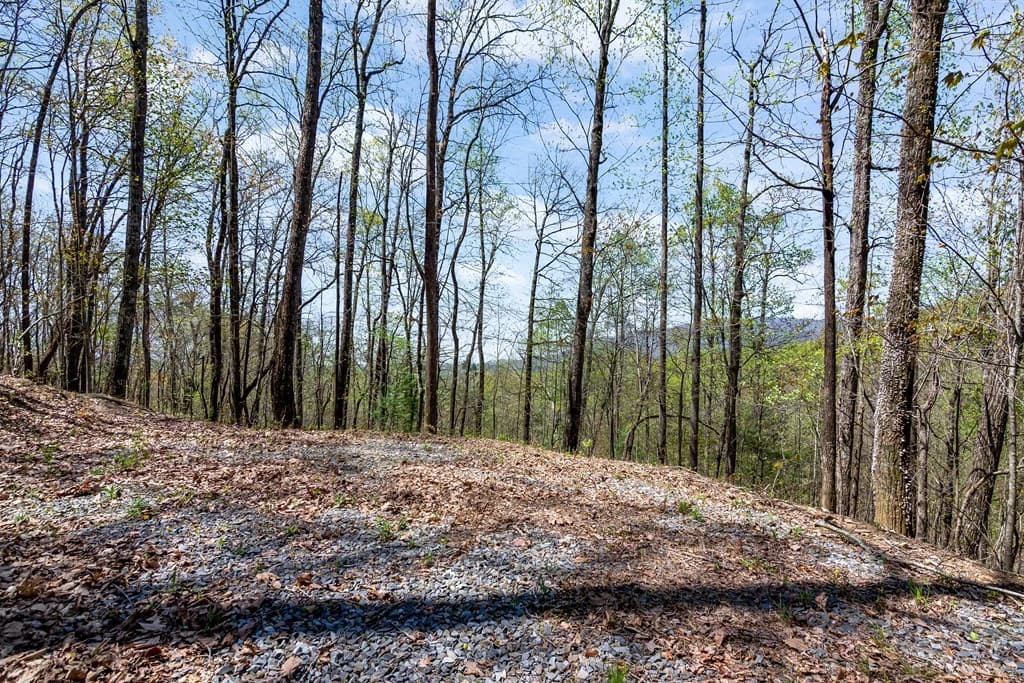 29 AC Hidden Valley Drive, Ellijay GA 30536 - Photo