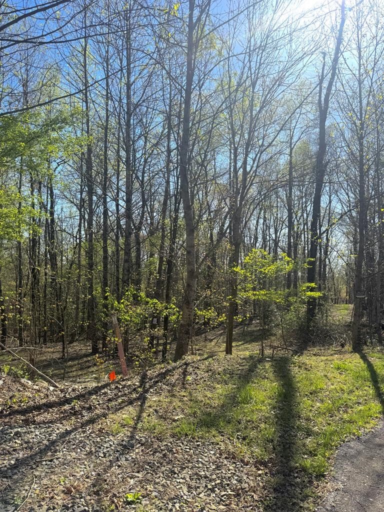 29 AC Hidden Valley Drive, Ellijay GA 30536 - Photo