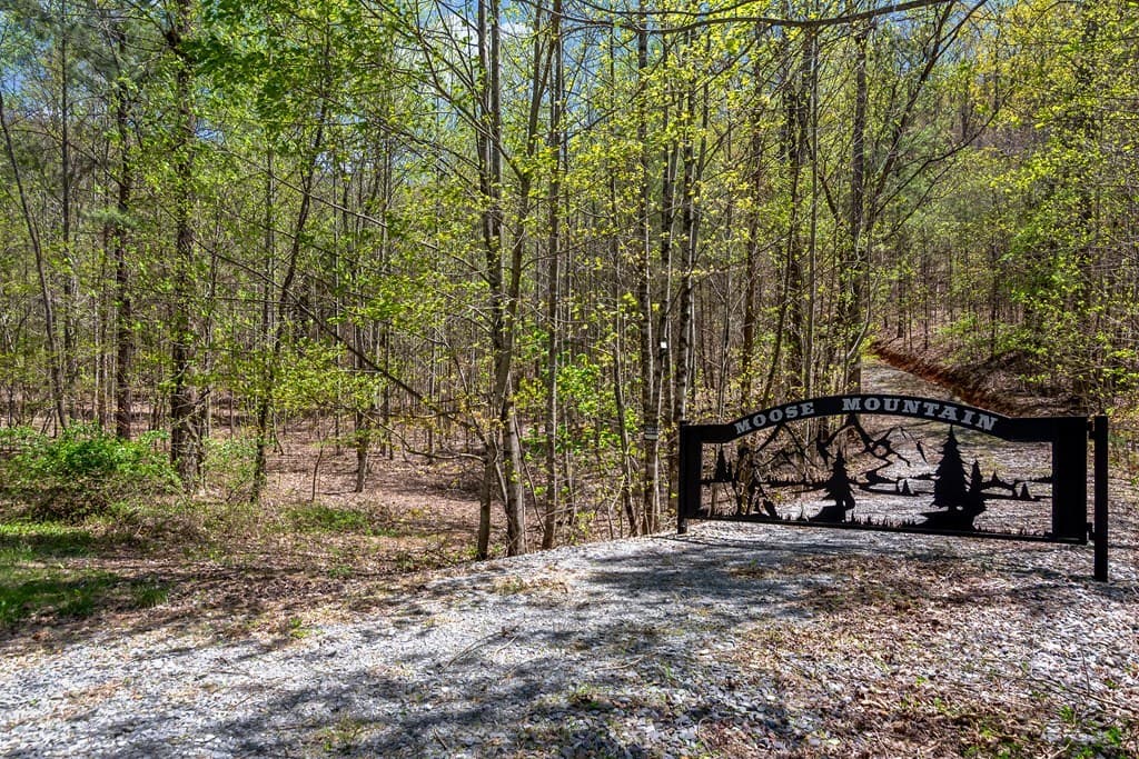 29 AC Hidden Valley Drive, Ellijay GA 30536 - Photo