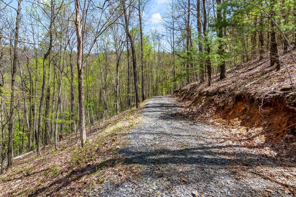 29 AC Hidden Valley Drive, Ellijay GA 30536 - Photo