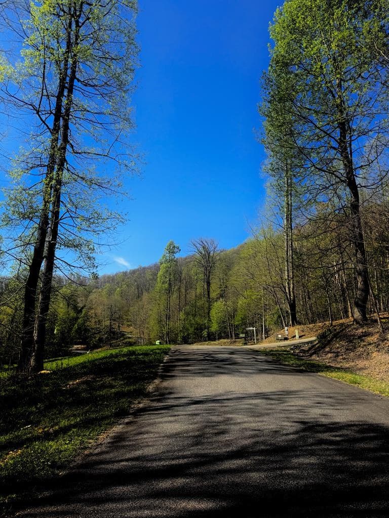 29 AC Hidden Valley Drive, Ellijay GA 30536 - Photo