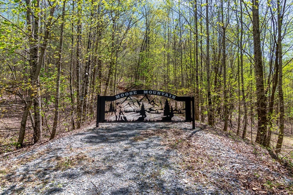 29 AC Hidden Valley Drive, Ellijay GA 30536 - Photo