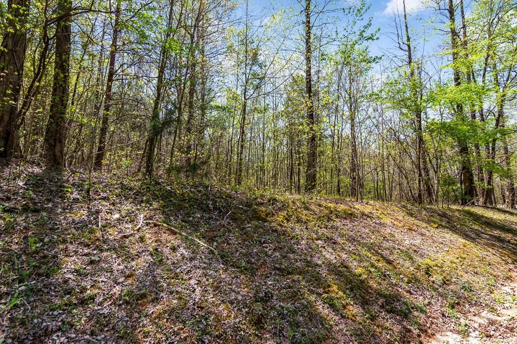 29 AC Hidden Valley Drive, Ellijay GA 30536 - Photo