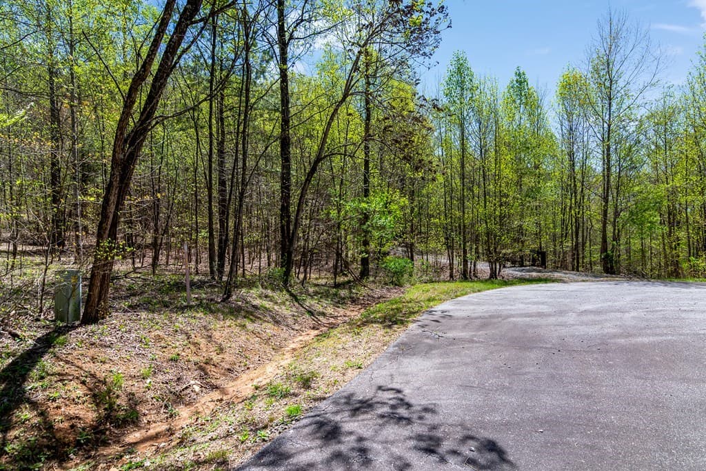 29 AC Hidden Valley Drive, Ellijay GA 30536 - Photo