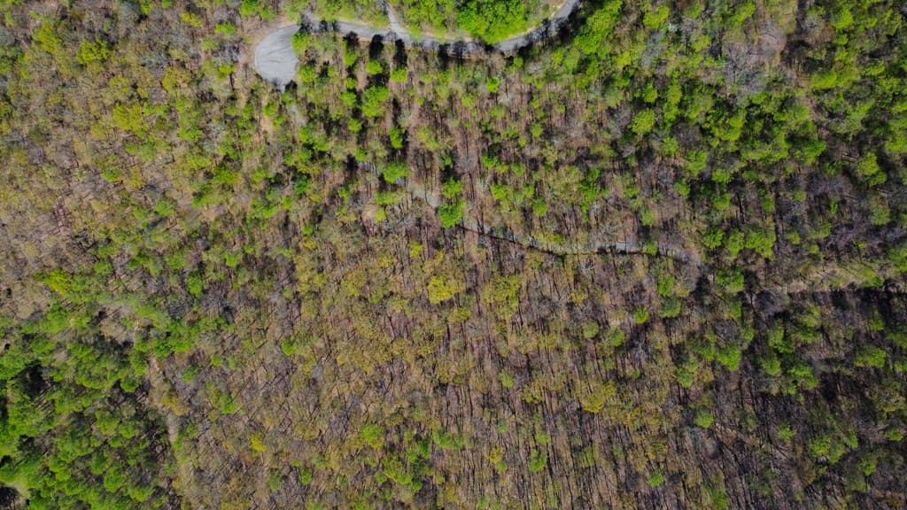 29 AC Hidden Valley Drive, Ellijay GA 30536 - Photo