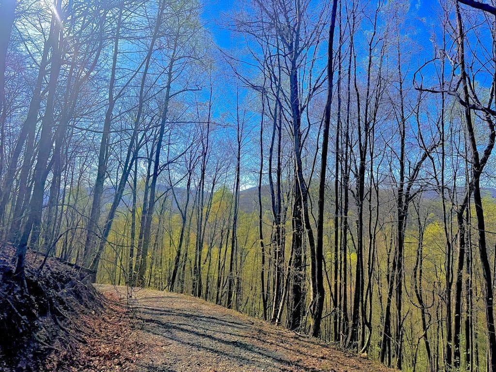 29 AC Hidden Valley Drive, Ellijay GA 30536 - Photo