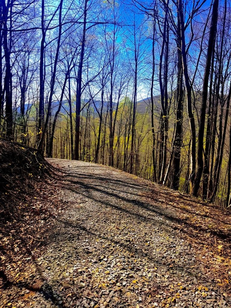 29 AC Hidden Valley Drive, Ellijay GA 30536 - Photo