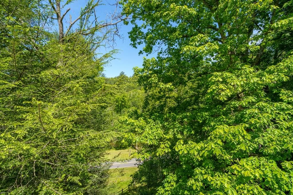 145 Rocky Top Road, Blue Ridge GA 30513 - Photo