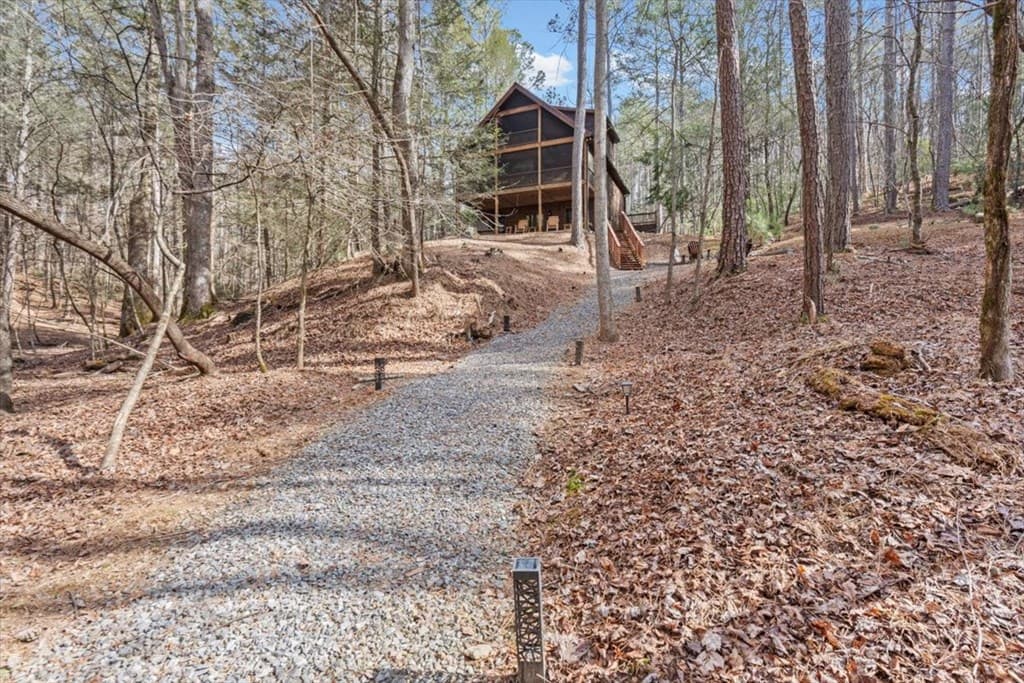 61 Grove Lane, Ellijay GA 30540 - Photo