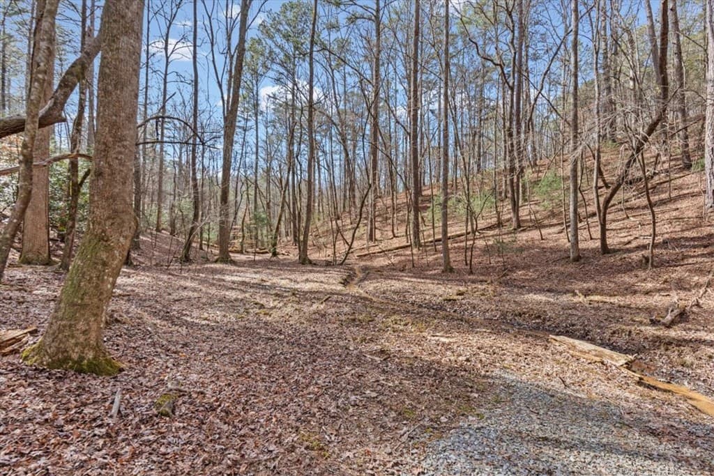61 Grove Lane, Ellijay GA 30540 - Photo