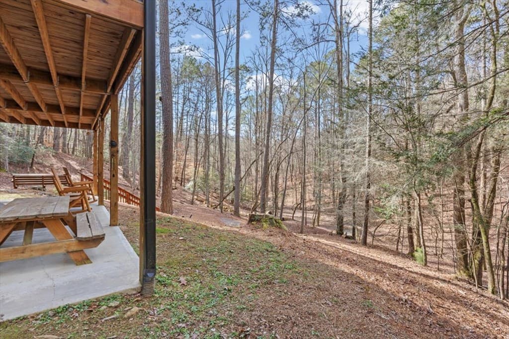 61 Grove Lane, Ellijay GA 30540 - Photo