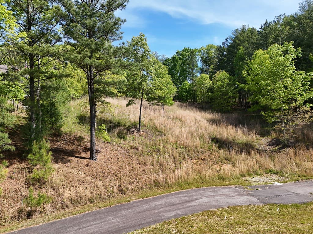 Lot 101 Big Knoll Drive, Blairsville GA 30512 - Photo