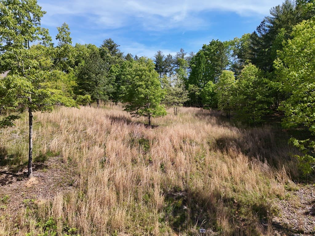 Lot 101 Big Knoll Drive, Blairsville GA 30512 - Photo